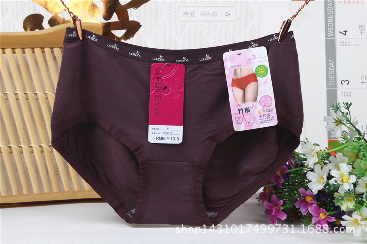Slip jeunesse LARAINE en coton - Ref 644225 Image 16