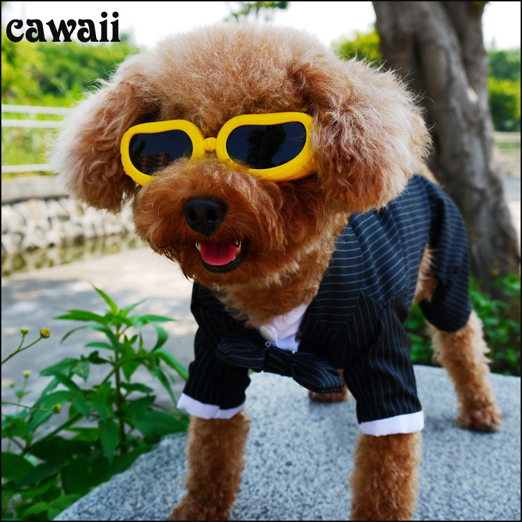 Suit 8