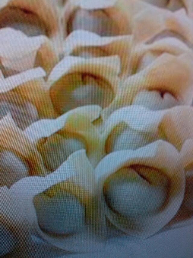 厂家直销YPJ380型全自动压面包合式馄饨机饺子机免费安装终身保修