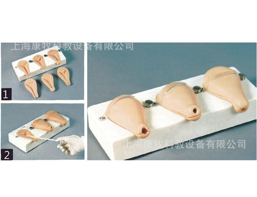 高级人工流产模拟子宫