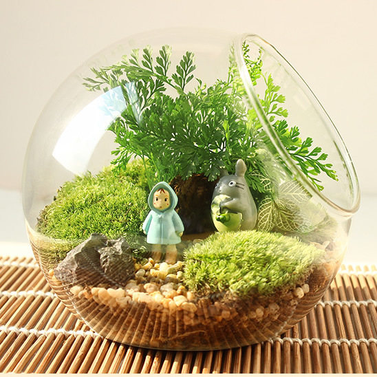 Micro Landscape Slanted Glass Vase Moss Succulent DIY Ecological Vase Crystal Glass Home Accessories Wholesale Micro Landscape Slanted Glass Vase Moss Succulent DIY Ecological Vase Crystal Glass Home Accessories Wholesale