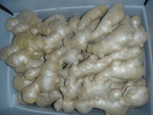 Lɽair dried ginger,china ginger,r