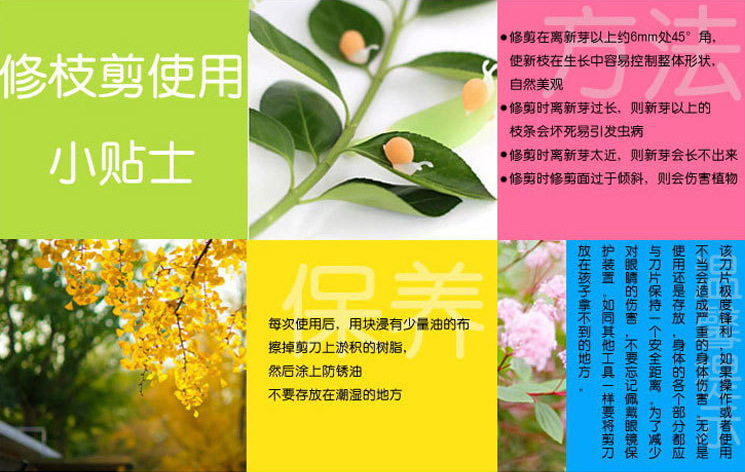 2345截图20150330135119