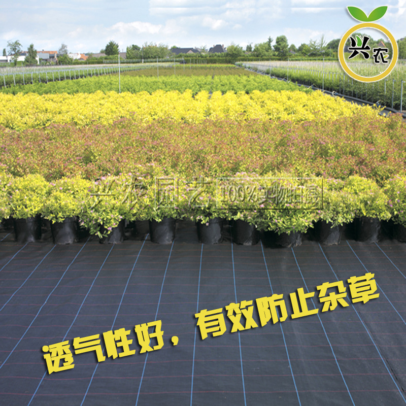 聚乙烯材料园艺防草地布 除草地布 杂草抑制地席 防草地膜地布