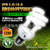 魅族專業爬蟲用品 爬蟲燈 UVB螺旋燈 5.0/13W UVB寵物燈