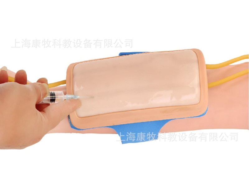 前臂静脉穿刺外套