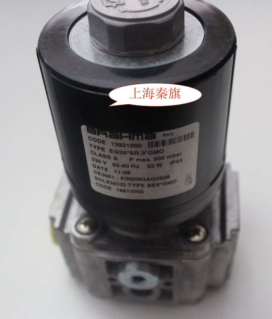 原装Brahma EG25*L.3*SRD*GMO EG25*LP.3*GMO EG25*S.3*GMO8