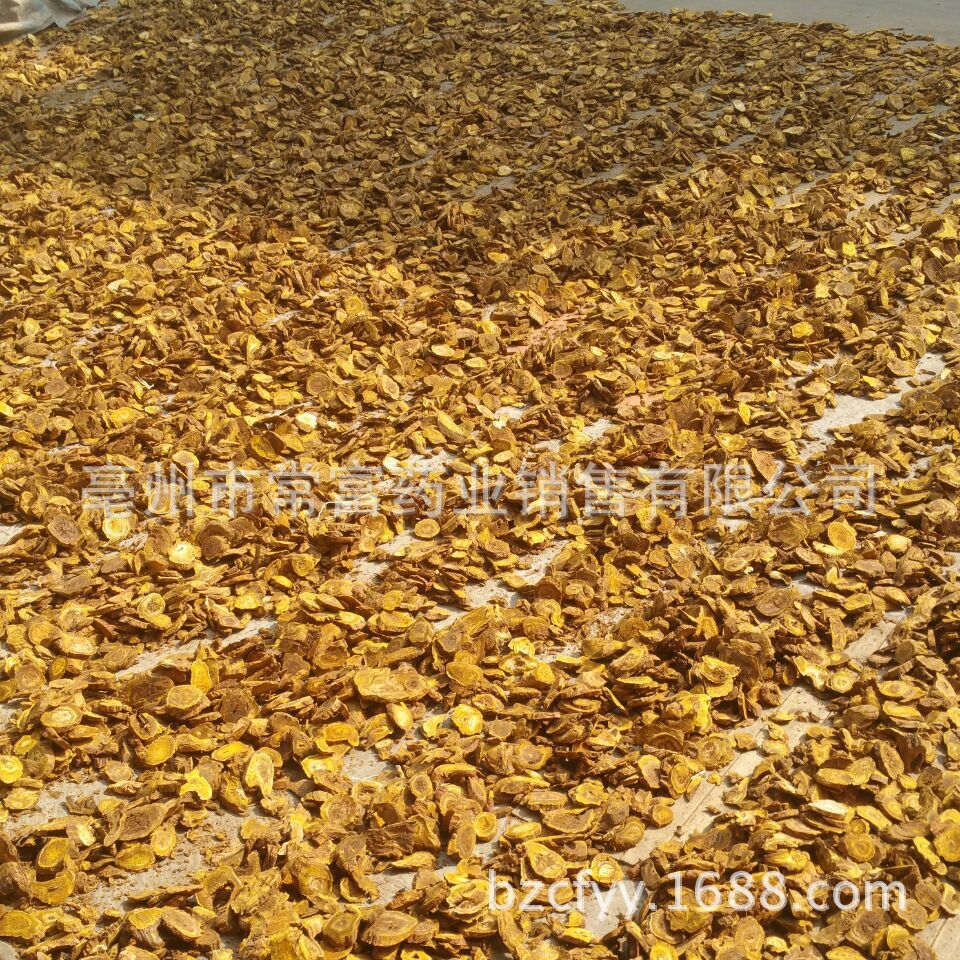 Dried Rhubarb Root Slices Da Huang 500g Traditional Chinese Herb for Decoction and Tea in use