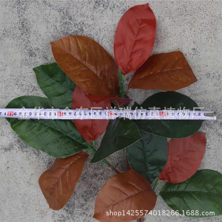 XRB-103秋高榕叶3叉枝14叶58CM宽