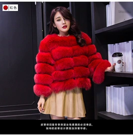 皮草;男式皮草;普通外套