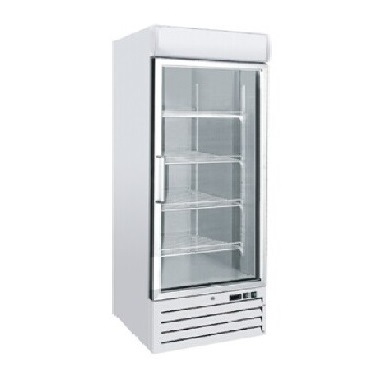 立式冷冻冷柜,555L大单门,风冷,便利店,餐饮冷冻,出口