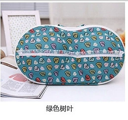 Bra, handheld chest bag, storage box for traveling, underwear, organizer bag