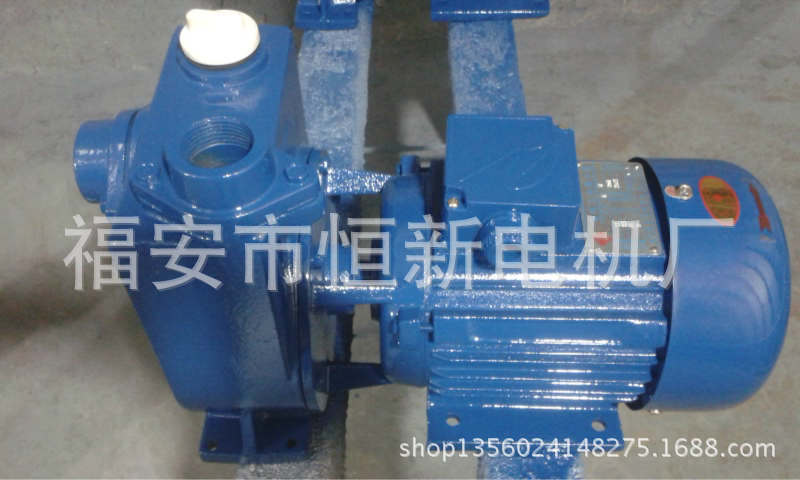 厂家批发 单相无泄漏小型离心泵 YCB-32 750W家用自吸离心泵