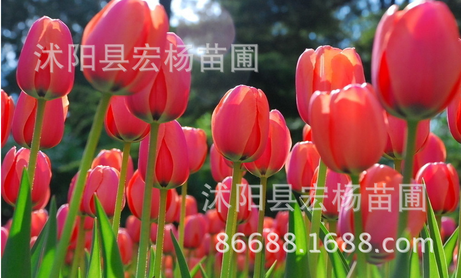 QQ图片20151008161145