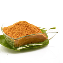 �_�{�Ʒ�ی�����轷�����ӷ�ʳƷ�����ͷۺ決ԭ��ɢ�b���l