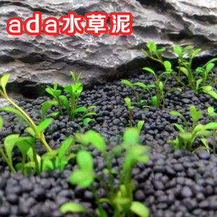 Япония Ada Quality Water Grass Mud Water Trav Done Sand Amazon Water Grass Mud Black Gud, без грязного водного удобрения.