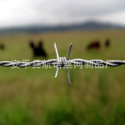 Direct selling Barbed Wire Gill net Barrages Silk thread Anping Barbed Wire Manufacturer