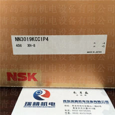 NSKNN3019KCC1P4