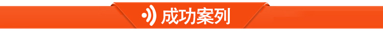 成功案列