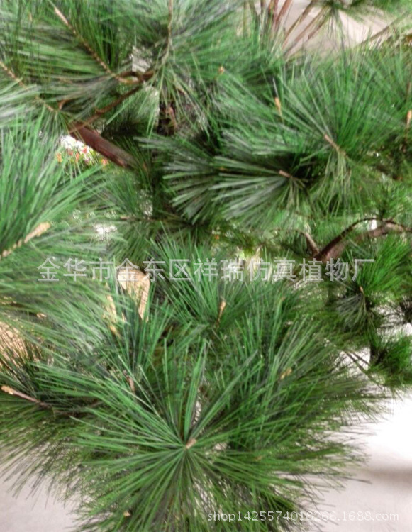 250厘米松树枝1