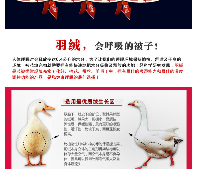 珍品羽絨被_懶人圖需要切割不可直接上傳._06