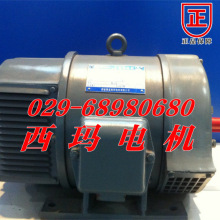 供应西玛牌YGM2-100L2-8/1.1KW 水泵用小型电动机