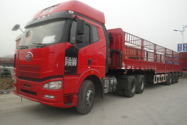 e40033023_13c9394552bg86_blog