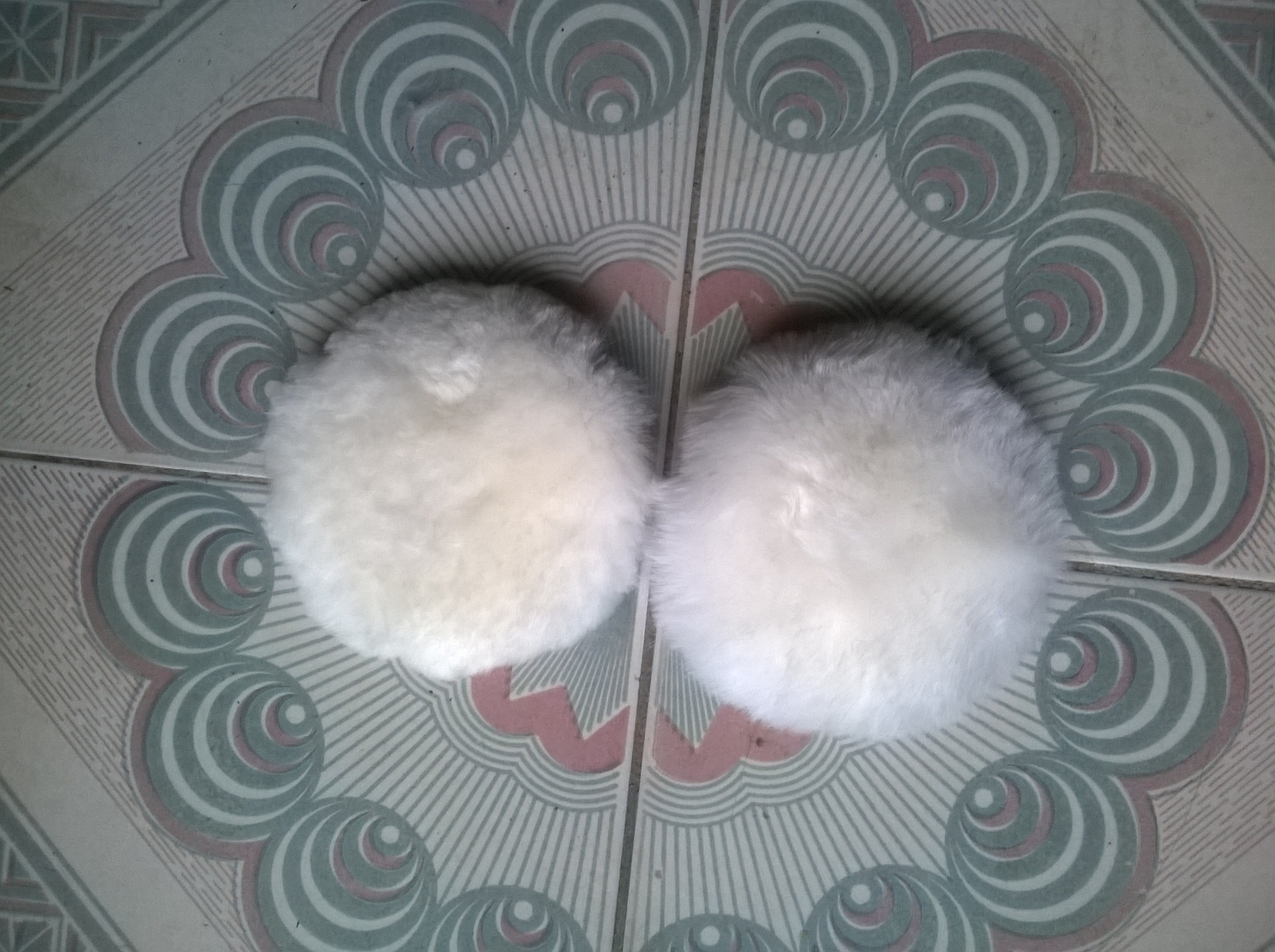 MediaLib_Camera Roll_WP_201407