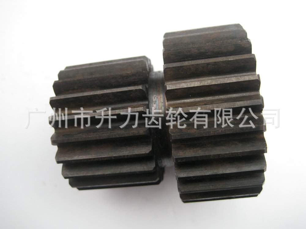 照片 051