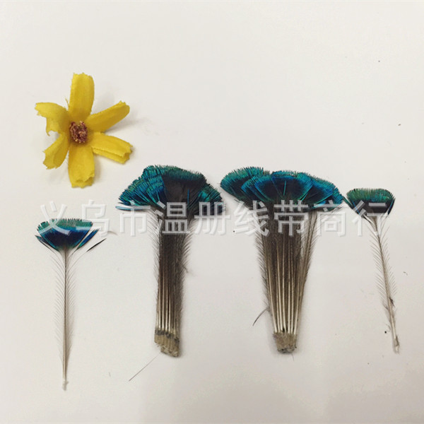 Feather factory sale New models Peacock Feather DIY Jewelry Peacock feathers