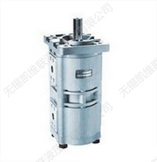 CBQL-F550/F540-CFH,双联齿轮泵