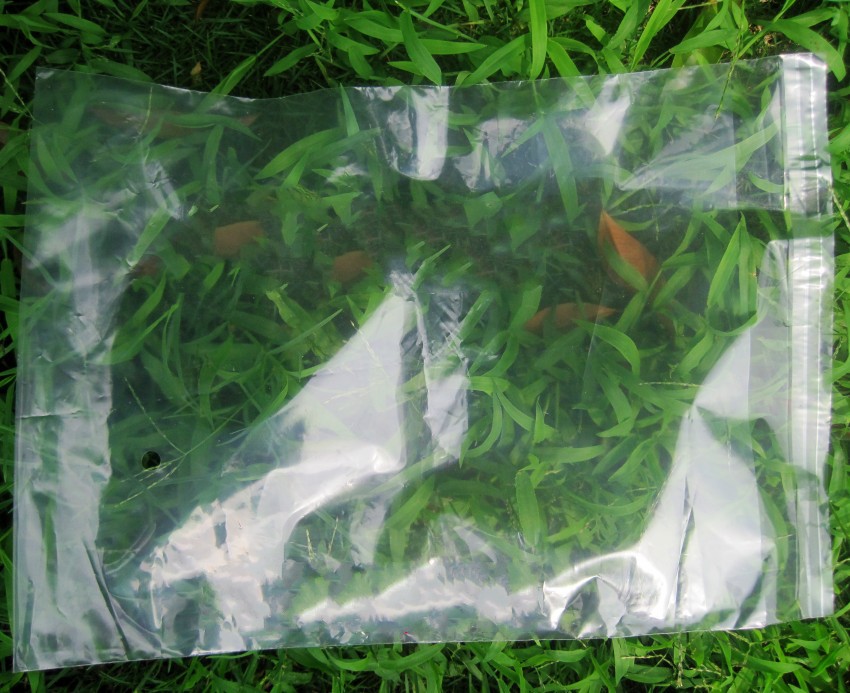 T22_djXd0NXXXXXXXX_!!905709333