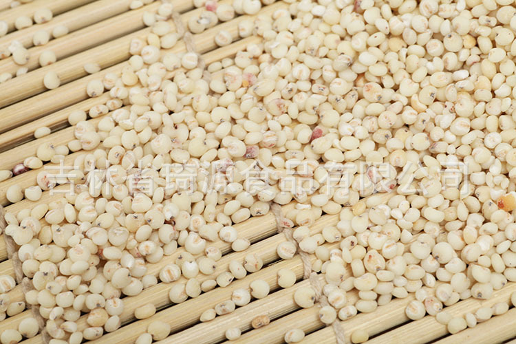 Low Temperature Baked Sorghum Millet Grain for Soy Milk and Congee quality and texture
