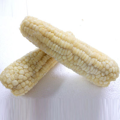 批發速凍優質糯甜玉米棒 粘玉米棒 糯玉米棒東北特産水果玉米
