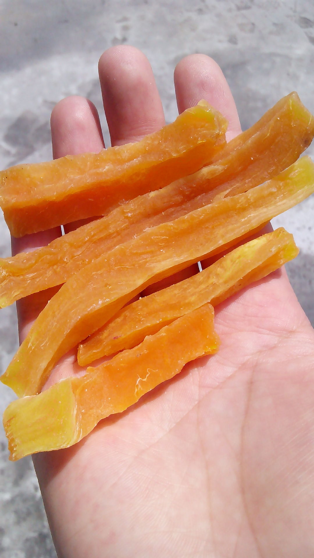 连城县政府网_连城县政府网供应商_连城县政