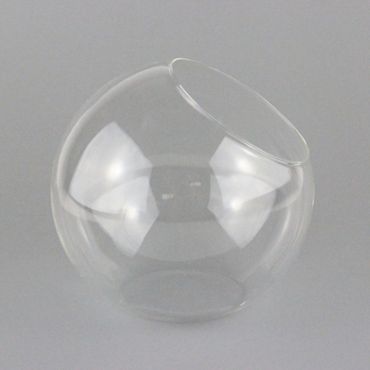 Succulent plants Eco-Bottle Oblique Glass ball Micro Landscape Container Exposure moss and lichen DIY Glass