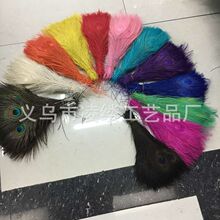 厂家现货供应彩色孔雀毛羽毛舞台表演装饰脱色羽毛25-30cm