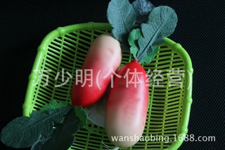 仿真萝卜厂家直销仿真蔬菜萝卜模型具幼儿教学道具摄影视道装饰品