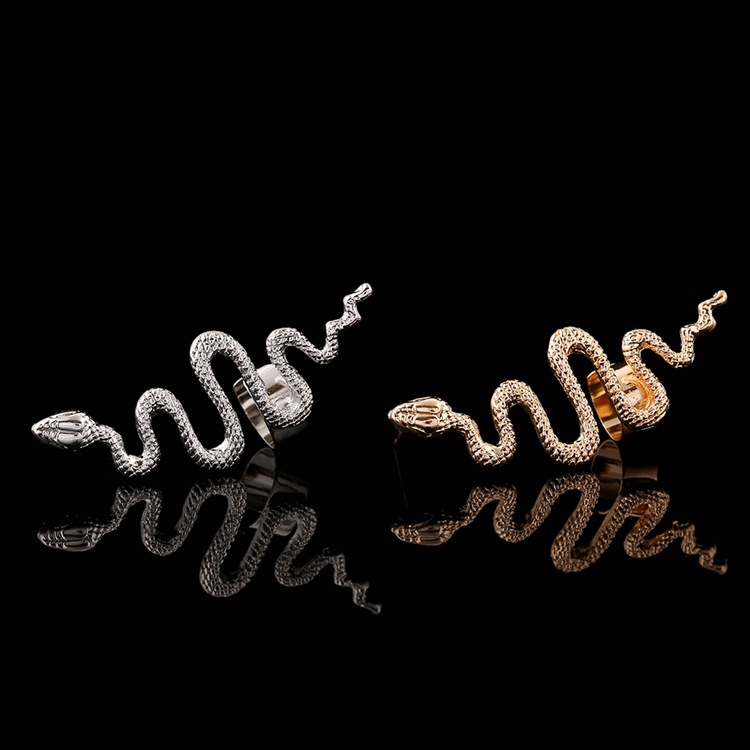 Pendientes Exagerados En Forma De Serpiente De Moda display picture 14