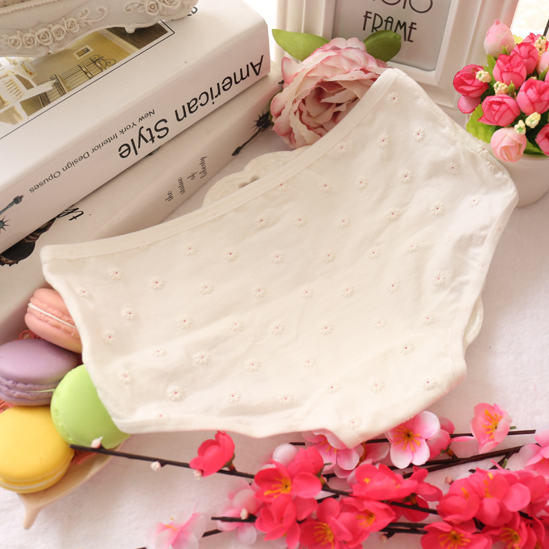 Slip jeune en coton - Ref 643474 Image 12