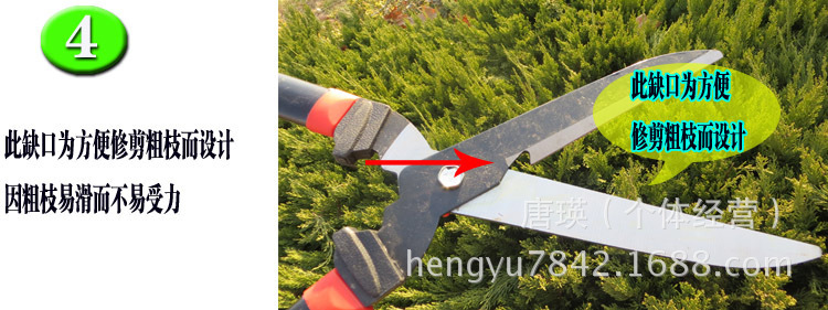 1936615558_1269862085