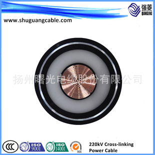�S��ֱ�N ������ϩ��| ���~YJV 220kV �߉���|