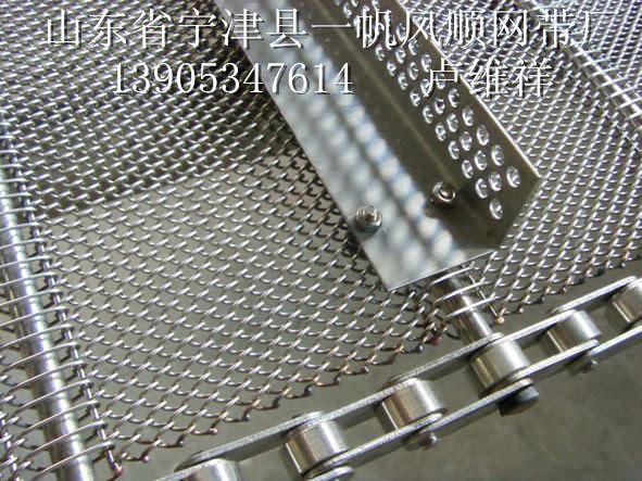 提升机网带 -602