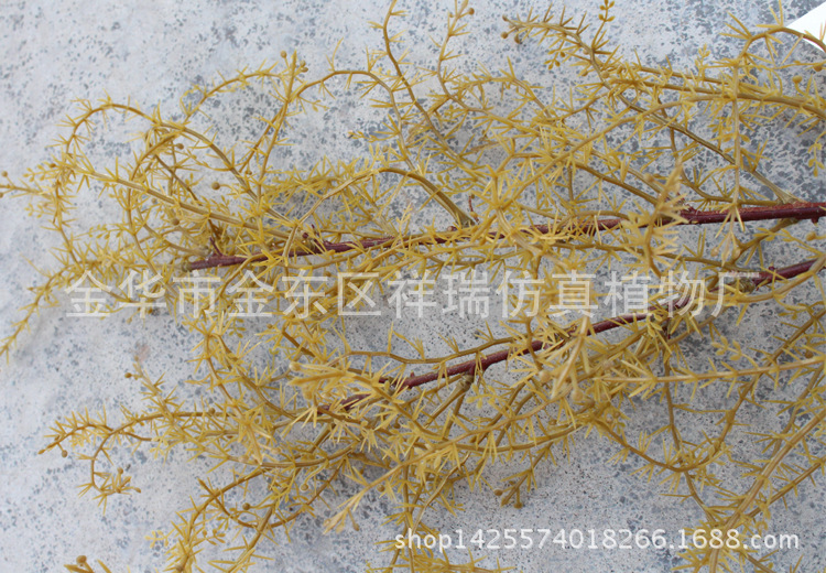 XRB-135骆驼刺叶2叉枝60叶秋色4