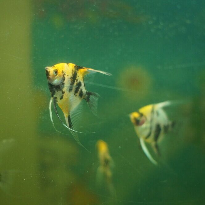 QQ图片20150613113025