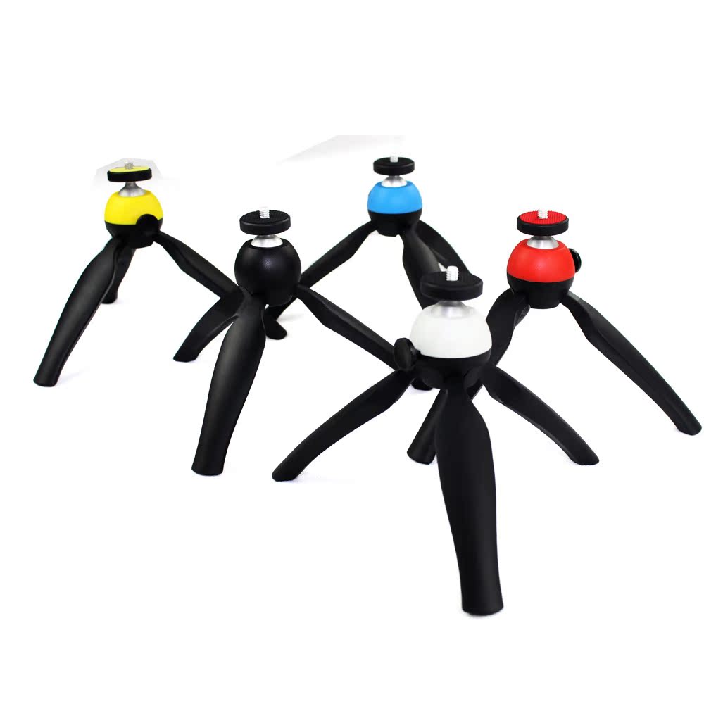 2498254282_2108336670