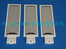10g克/h 单片双面臭氧发生器 臭氧发生器 配件 陶瓷片 空气净化