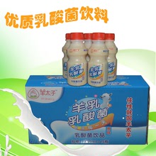 Nhà máy trực tiếp sữa dê Sữa axit lactic uống 350ml Sữa dê