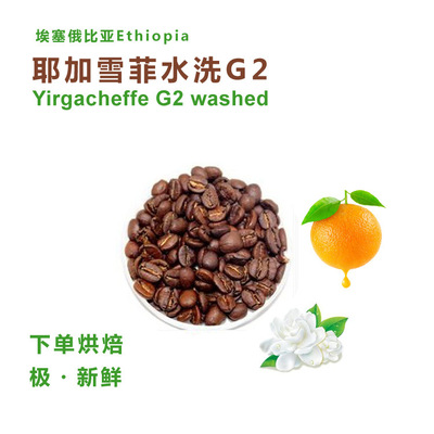 批发单品埃塞俄比亚耶佳雪菲G2咖啡豆/粉 新鲜烘焙227g|ru