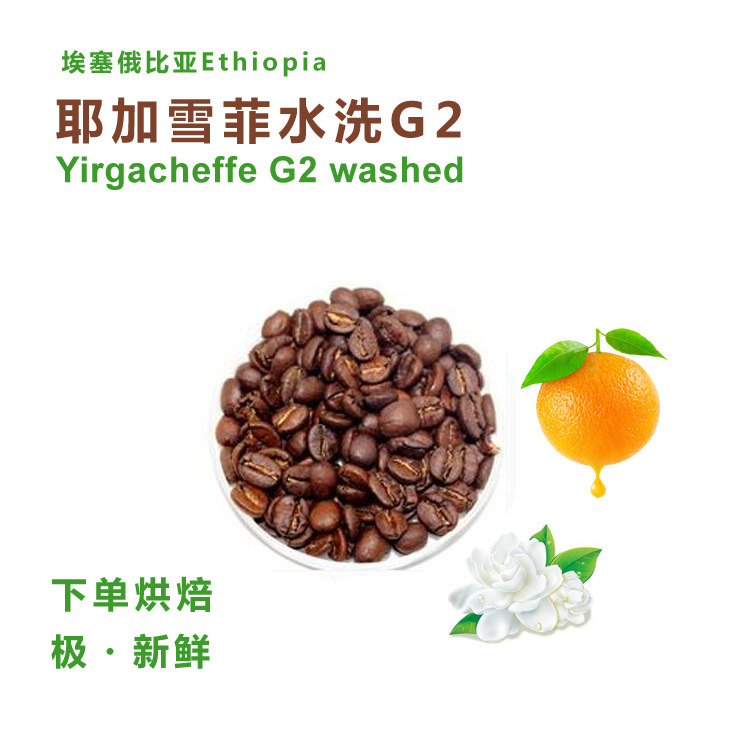 批发单品埃塞俄比亚耶佳雪菲G2咖啡豆/粉 新鲜烘焙227g|ru